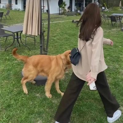 归来是少年